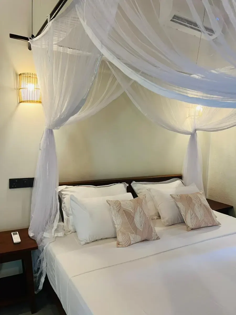 Calm Aruna room hero